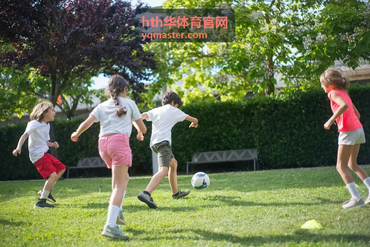 hth华体育官网观看过程中的常见问题处理顺序